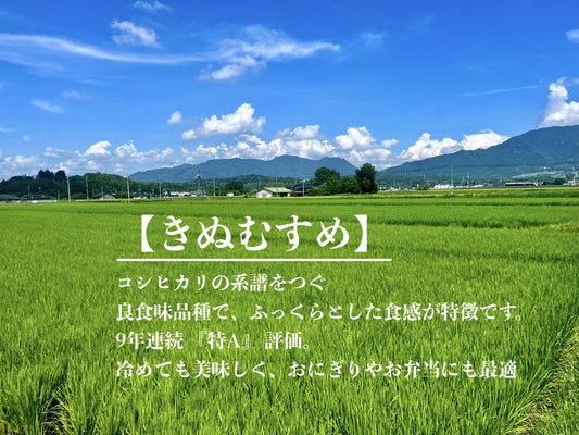 【新米】令和7年産 岡山県産 きぬむすめ 一等米 玄米30kg(30kg×1袋)
